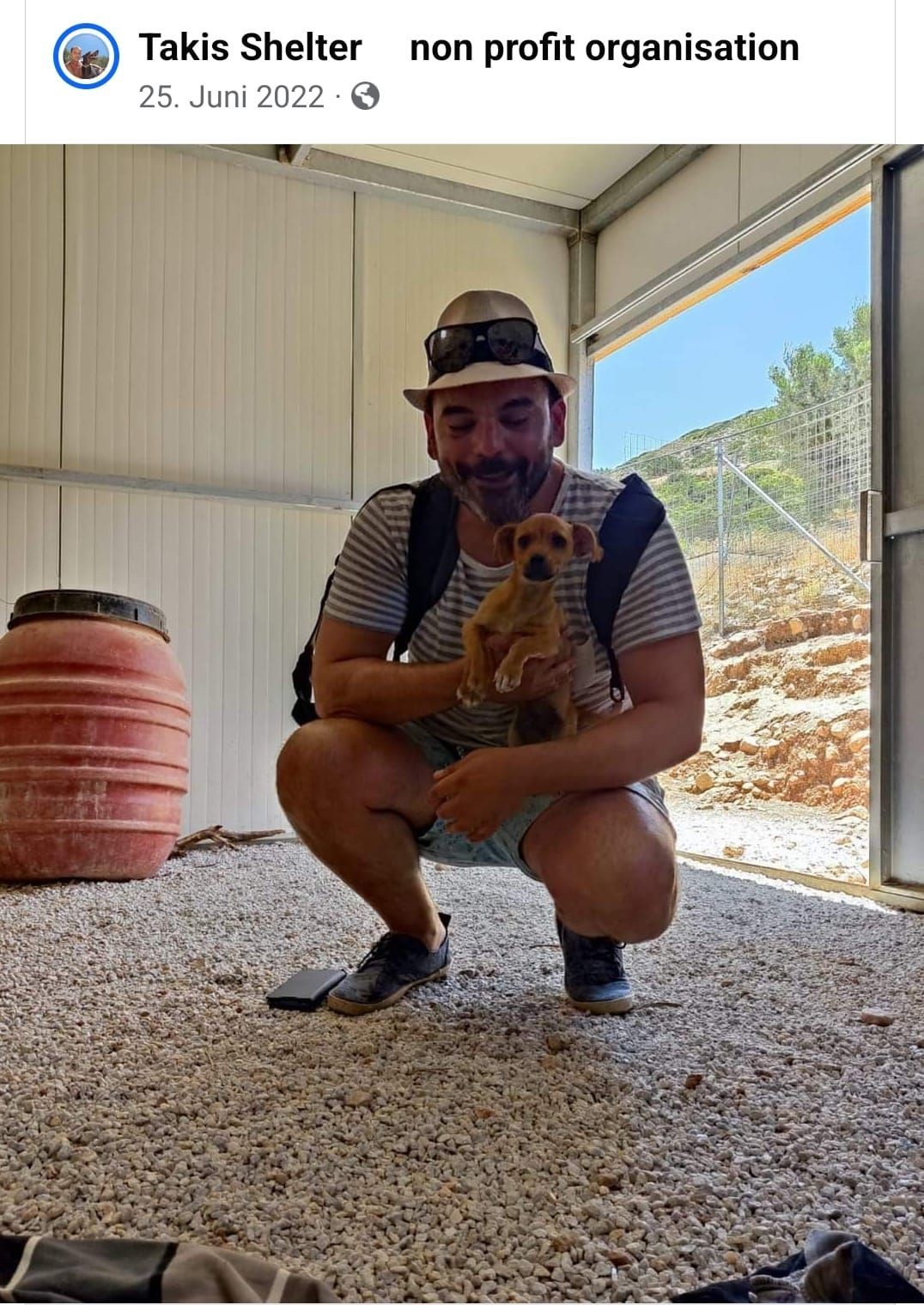 Tierschutz - Takis Shelter Kreta